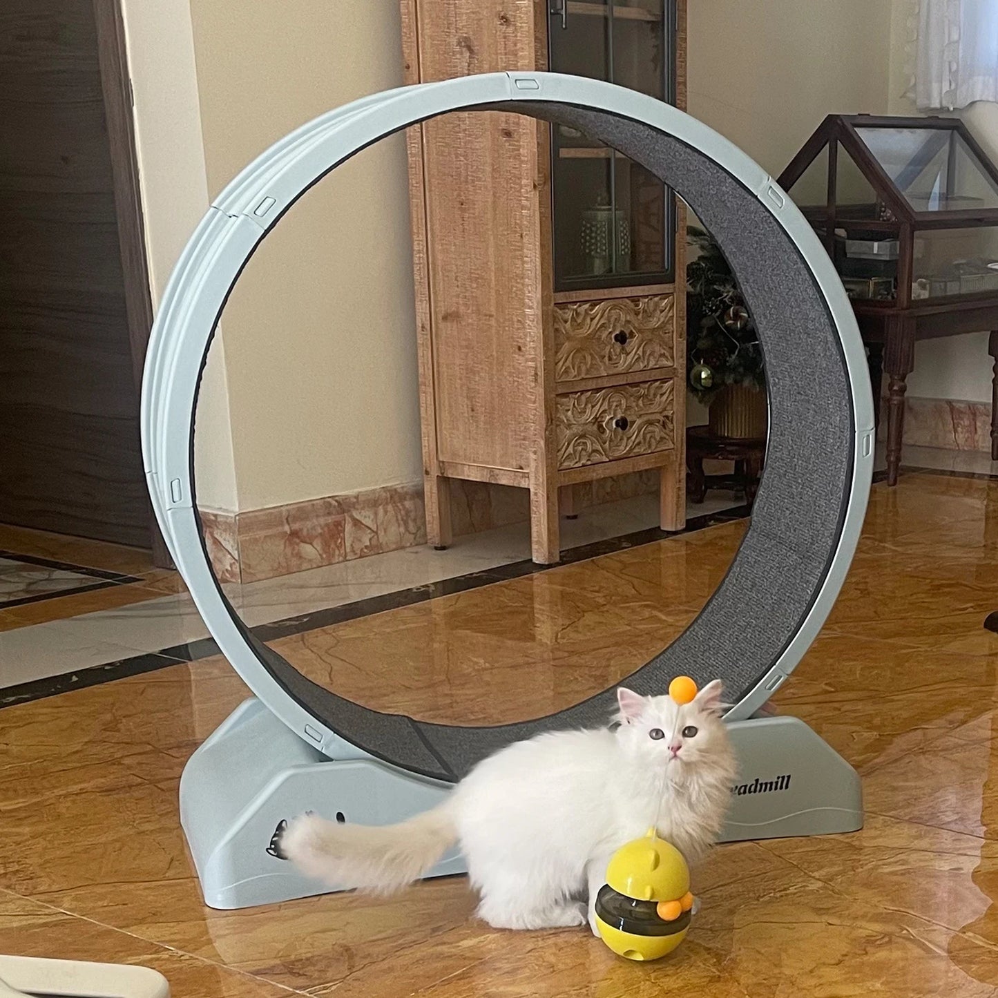Tapis roulant Roule Miaou