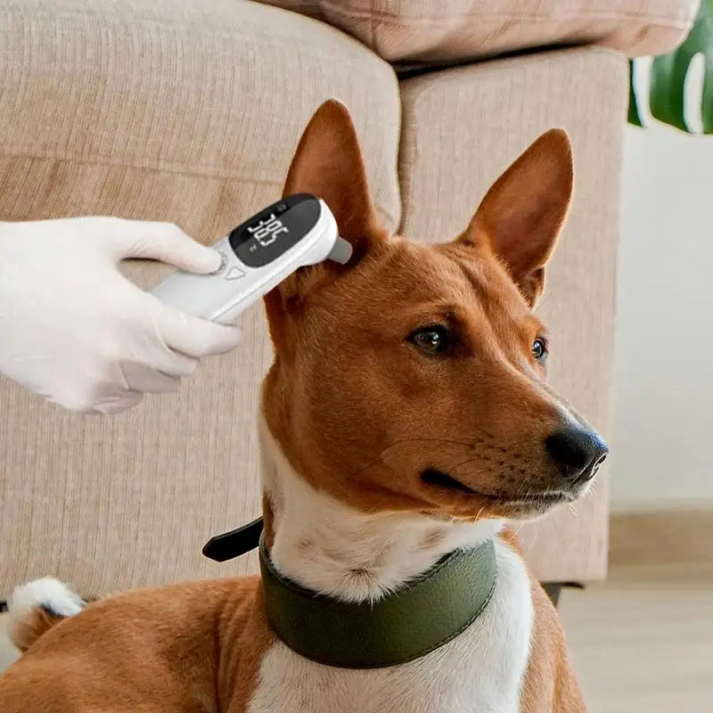 Thermomètres pour animaux - TempControl