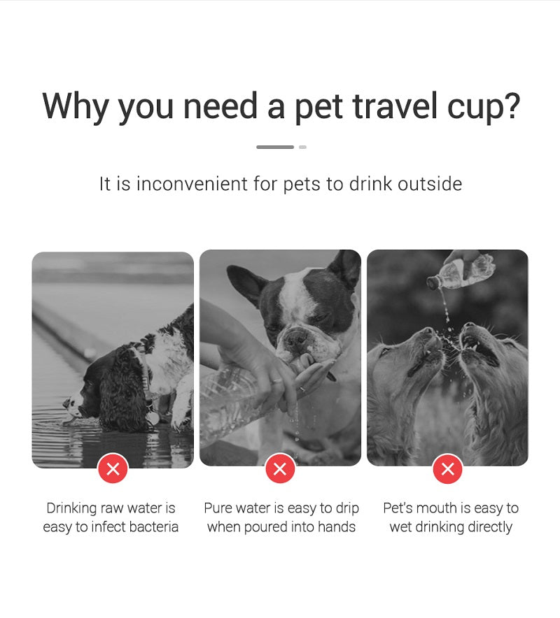 Bouteille d'eau portable pour chiens - AquaWaf