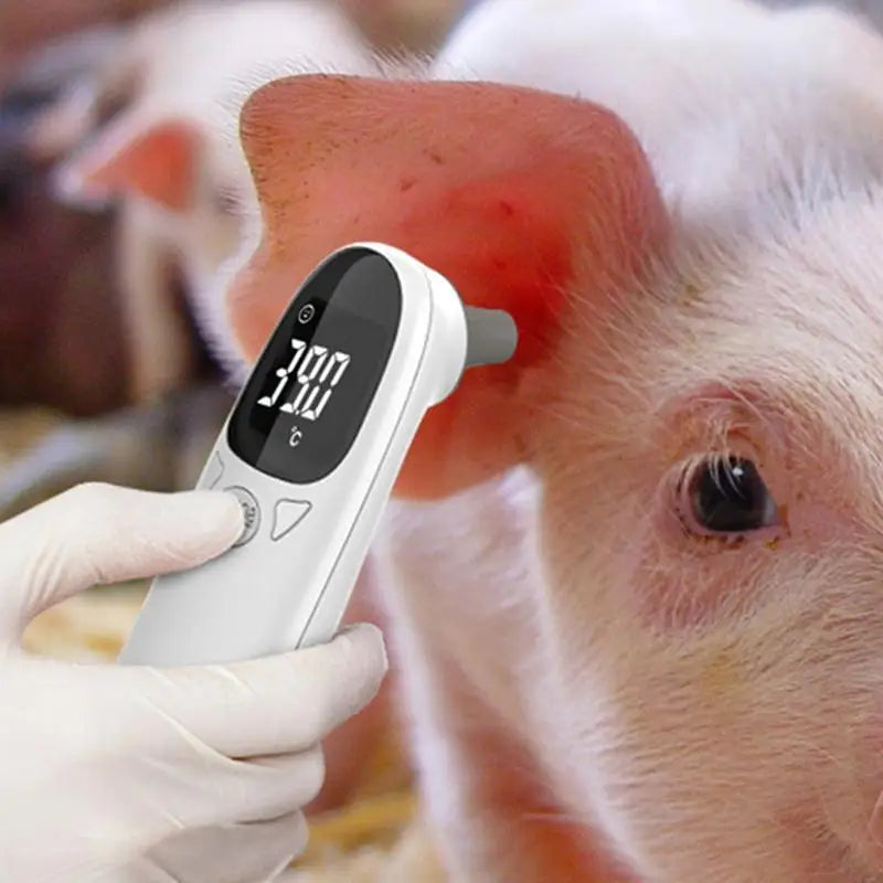 Thermomètres pour animaux - TempControl