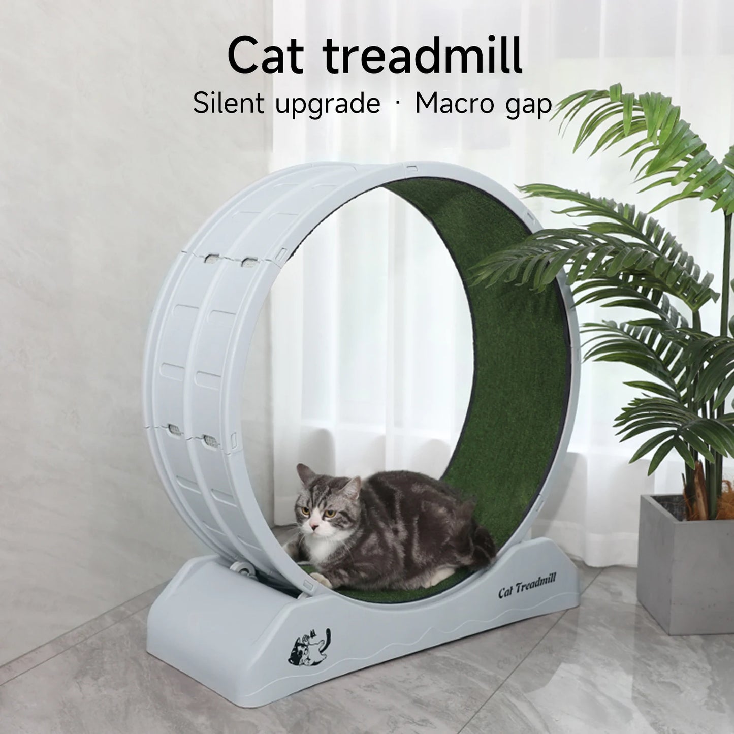 Tapis roulant Roule Miaou