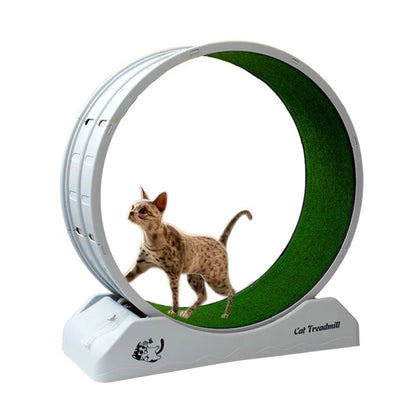 Tapis roulant Roule Miaou