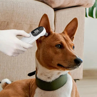 Pet Thermometers - TempControl 
