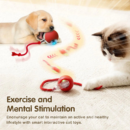 Balle interactive CatBall