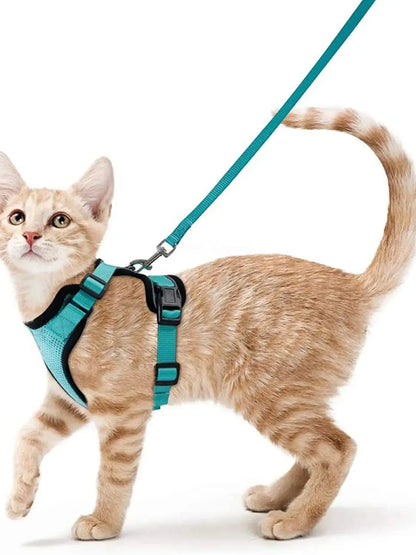Harnais pour chat - Charnais