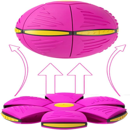 Baldisk Dog Toy 