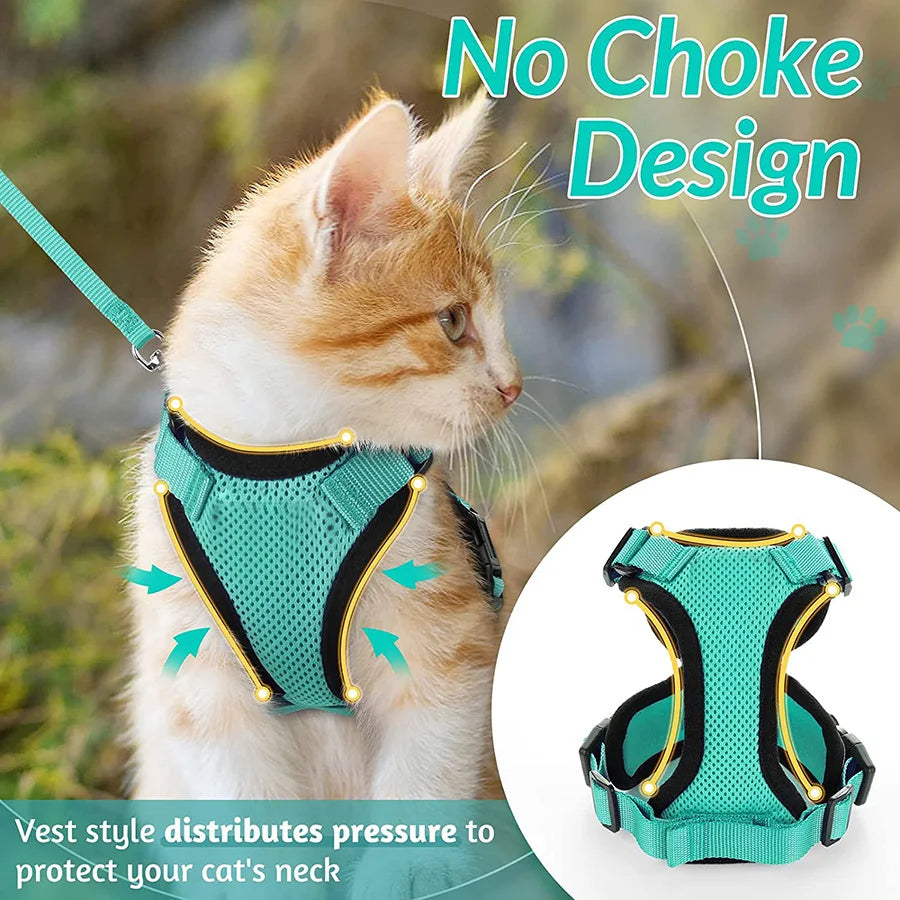Harnais pour chat - Charnais