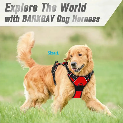 Harnais HarDog
