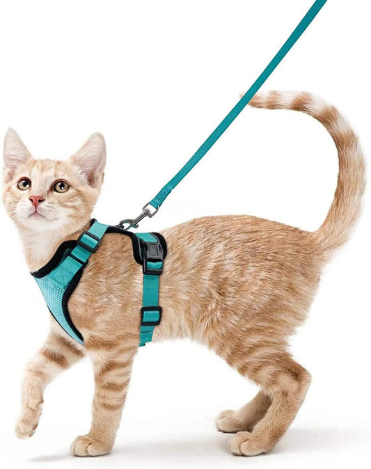 Harnais pour chat - Charnais