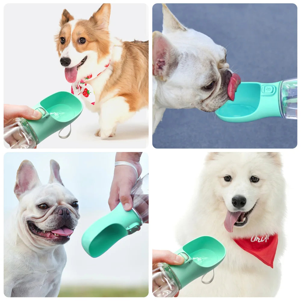 Bouteille d'eau portable pour chiens - AquaWaf