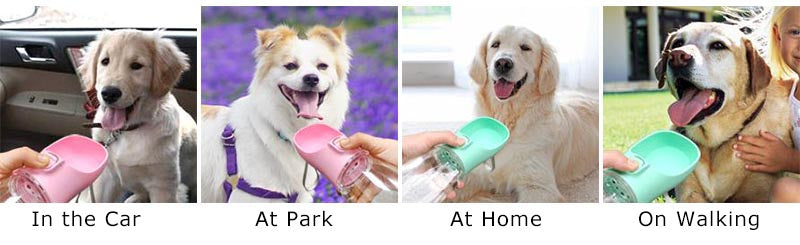 Bouteille d'eau portable pour chiens - AquaWaf