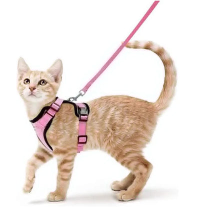 Harnais pour chat - Charnais