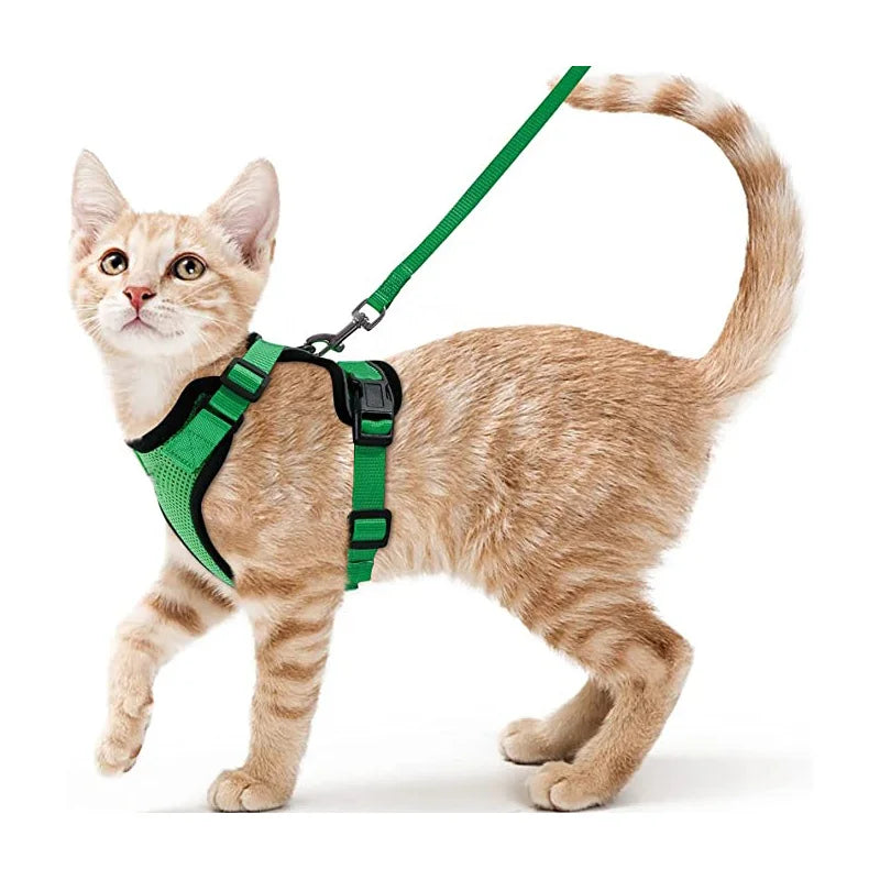 Harnais pour chat - Charnais