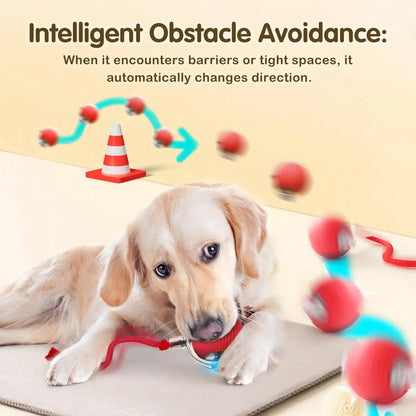 Balle interactive CatBall