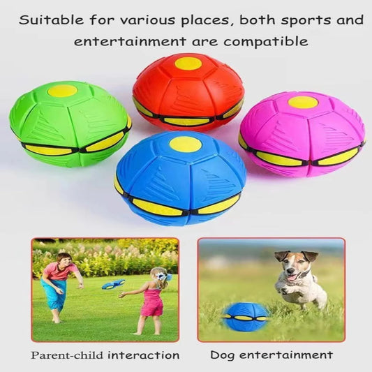 Jouet pour chien Baldisk