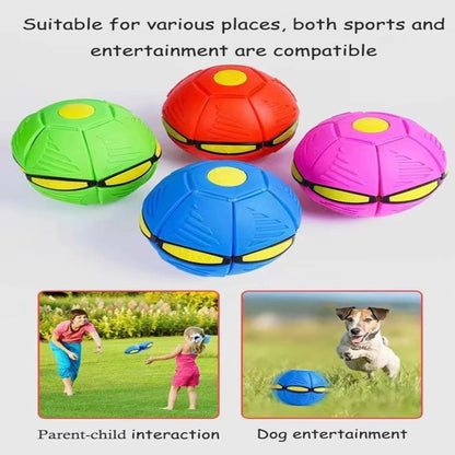 Baldisk Dog Toy 
