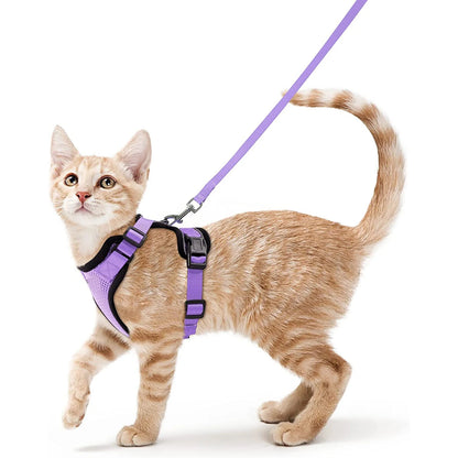 Harnais pour chat - Charnais