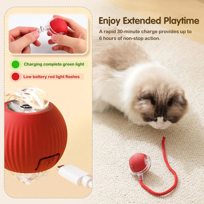 Balle interactive CatBall