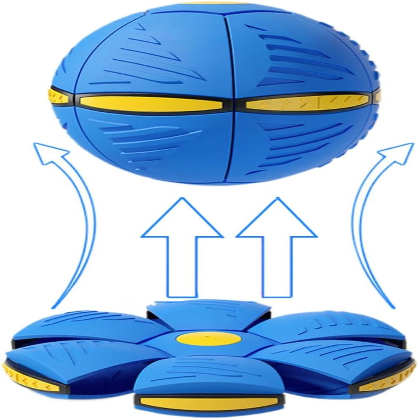 Baldisk Dog Toy 