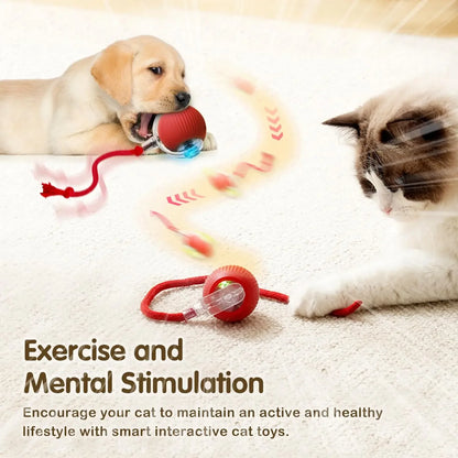 Balle interactive CatBall
