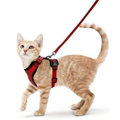 Harnais pour chat - Charnais