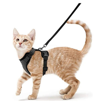 Harnais pour chat - Charnais