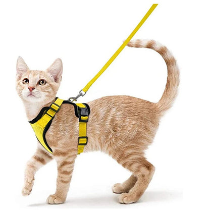 Harnais pour chat - Charnais