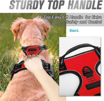 Harnais HarDog